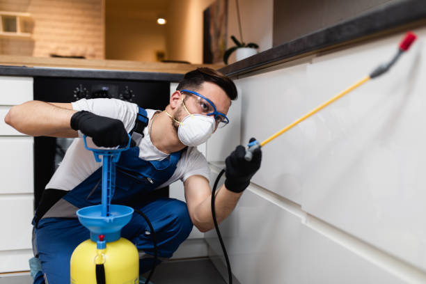 Best Affordable Pest Control Services  in Chenoweth, OR