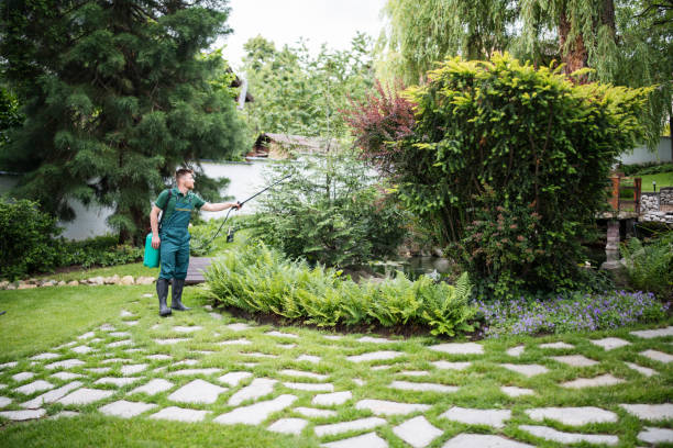 Best Mosquito Control Services  in Chenoweth, OR