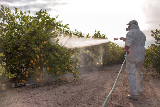 Flea Control Services in Chenoweth, OR