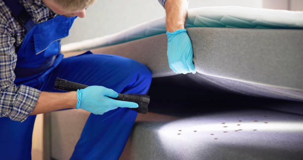 Best Rat Extermination Near Me  in Chenoweth, OR