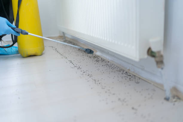 Best Best Pest Control Companies  in Chenoweth, OR