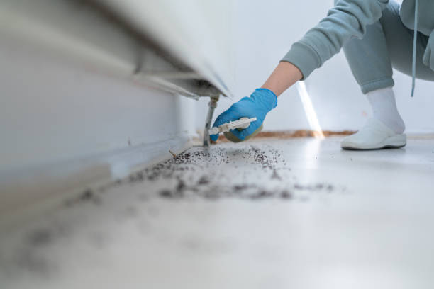 Chenoweth, OR Pest Control Company