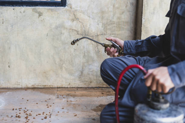 Professional Pest Control in Chenoweth, OR